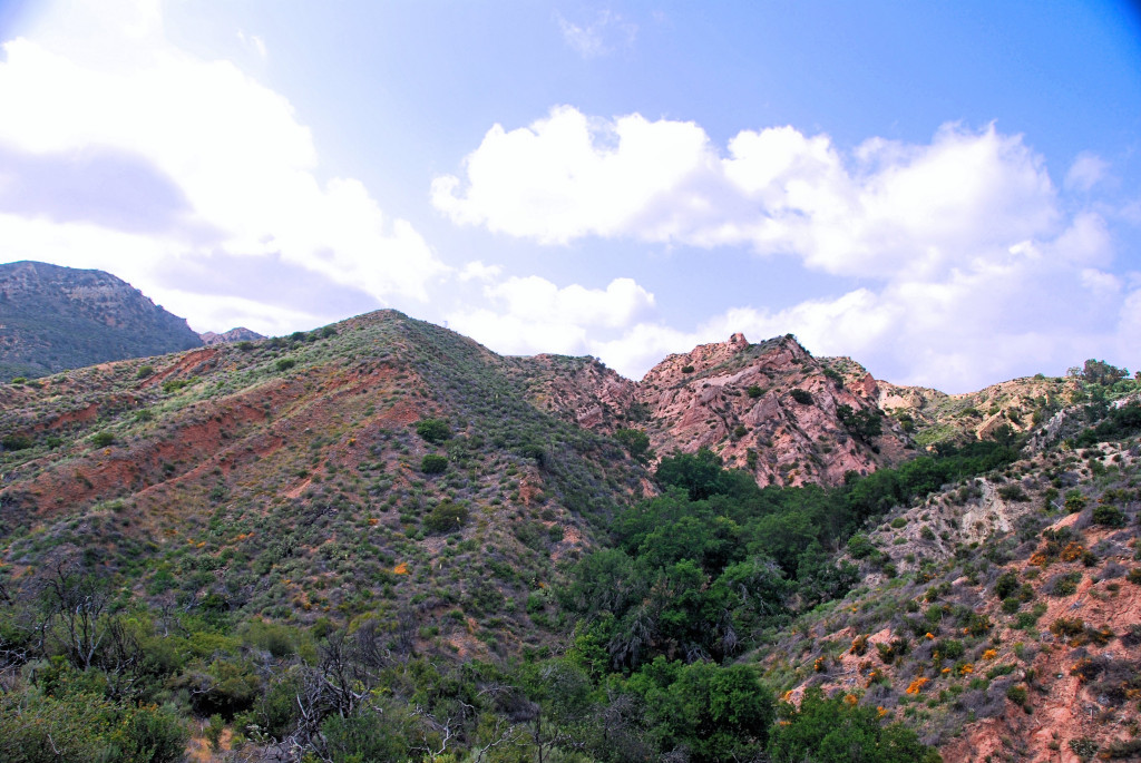 Red Rocks from the Billy Goat Trail, Whiting Ranch Wilderness Park