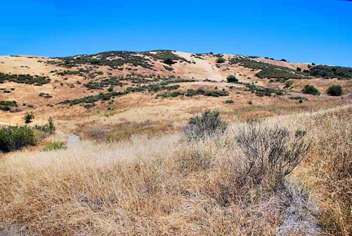 Vedanta Wilderness, O'Neill Regional Park, California