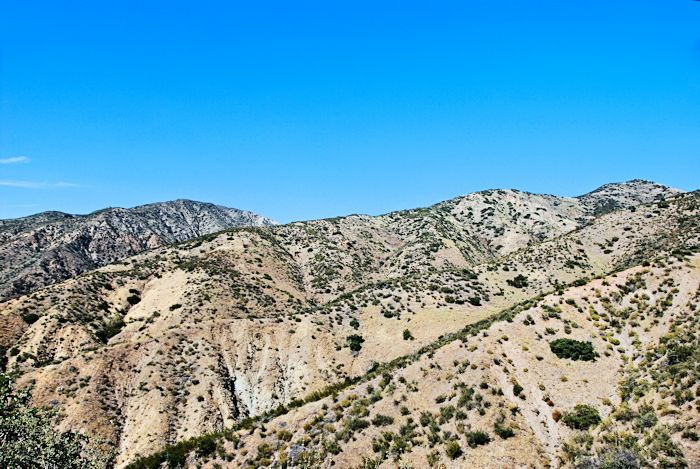 Mount Phil K. Dick and foothills, June 1, 2014