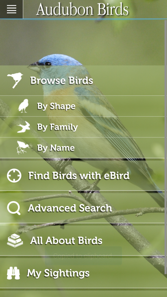 Audubon Birds Homescreen